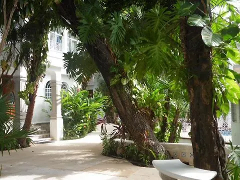 Hotel Tropical Casablanca Party Zone Playa del Carmen