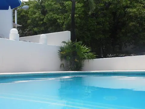 ***  Tropical Casablanca Party Zone Hotel Playa del Carmen México