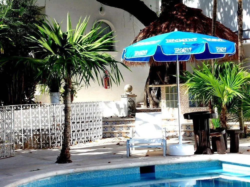 ***  Tropical Casablanca Party Zone Hotel Playa del Carmen México