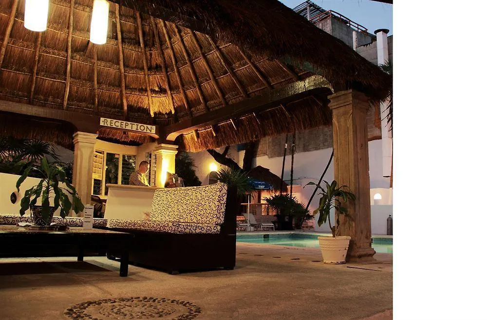 Tropical Casablanca Party Zone Hotel Playa del Carmen