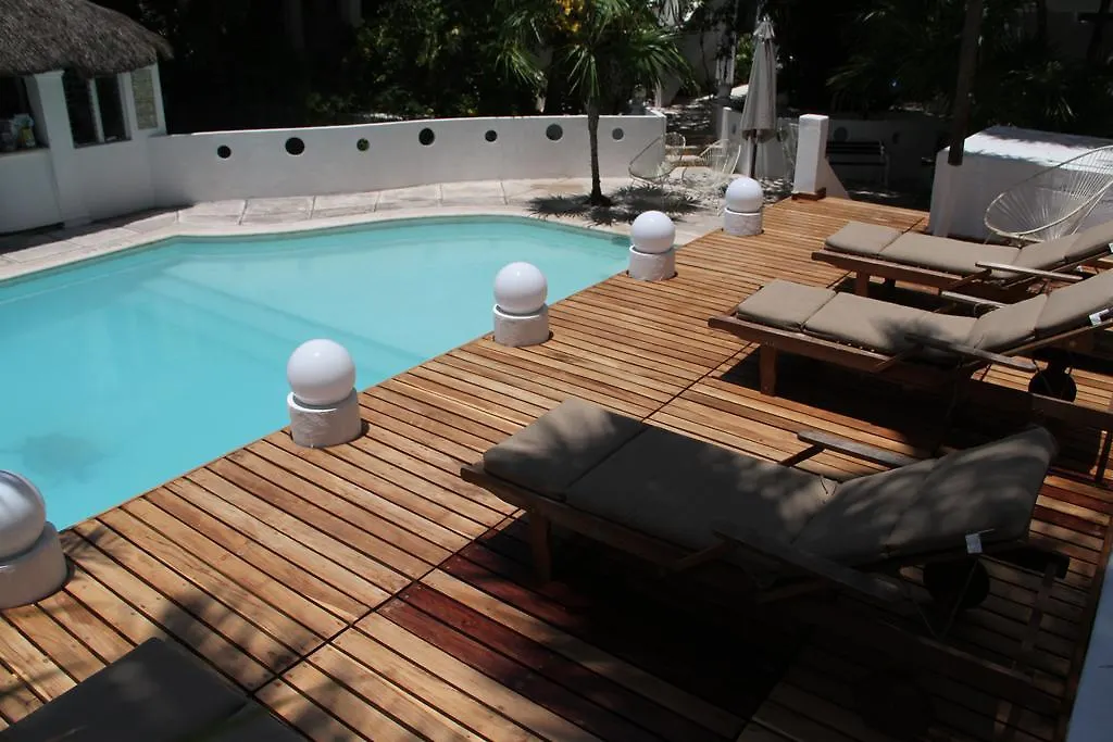 Hotel Tropical Casablanca Party Zone Playa del Carmen