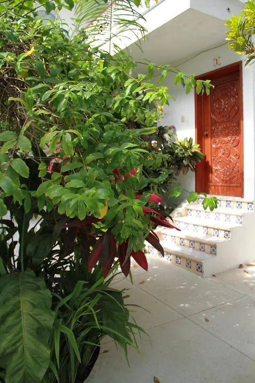 Hotel Tropical Casablanca Party Zone Playa del Carmen 3*,