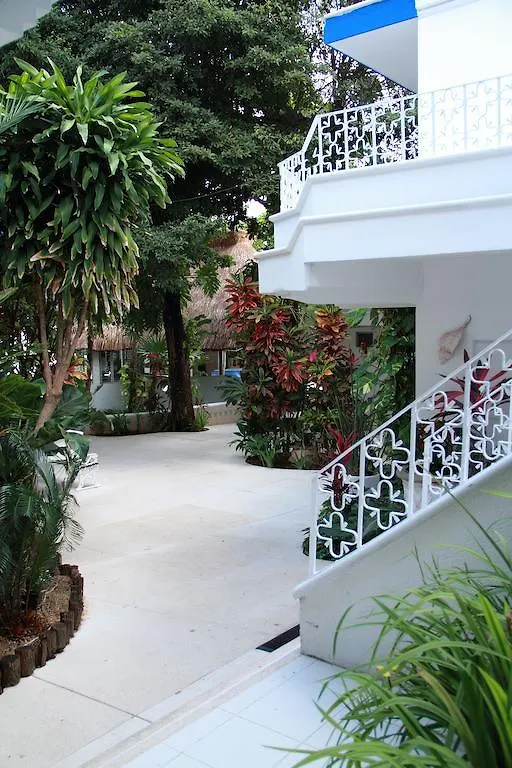 ***  Tropical Casablanca Party Zone Hotel Playa del Carmen México