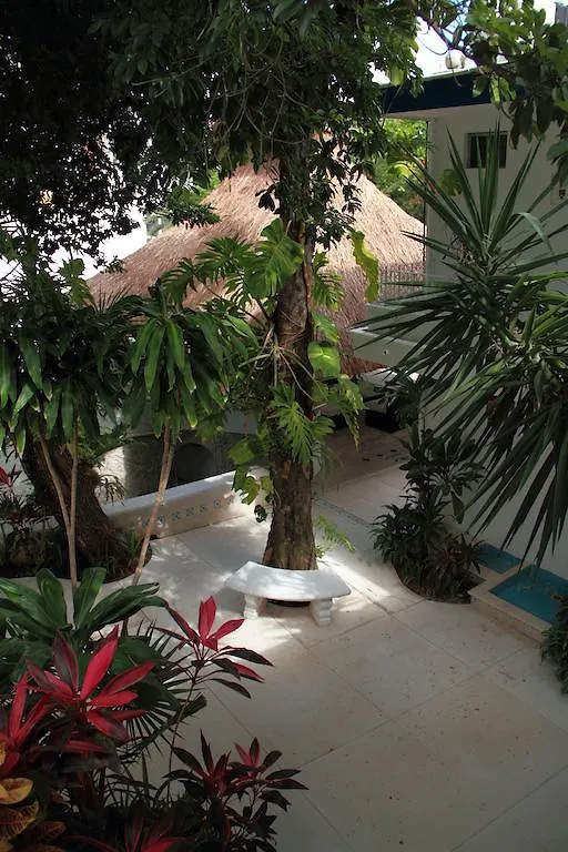 Hotel Tropical Casablanca Party Zone Playa del Carmen